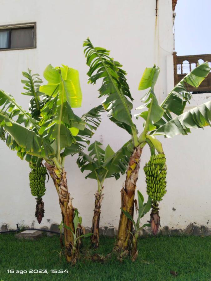 2 Camere Splendida Casa Vacanze In Tenerife Del Sur Casa Trilly アロナ エクステリア 写真